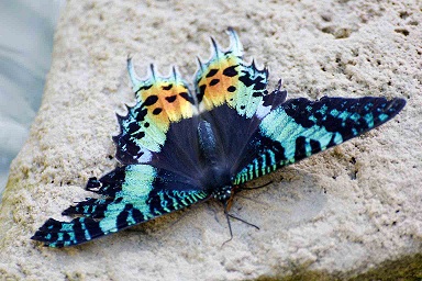 Classic RN7 and montain