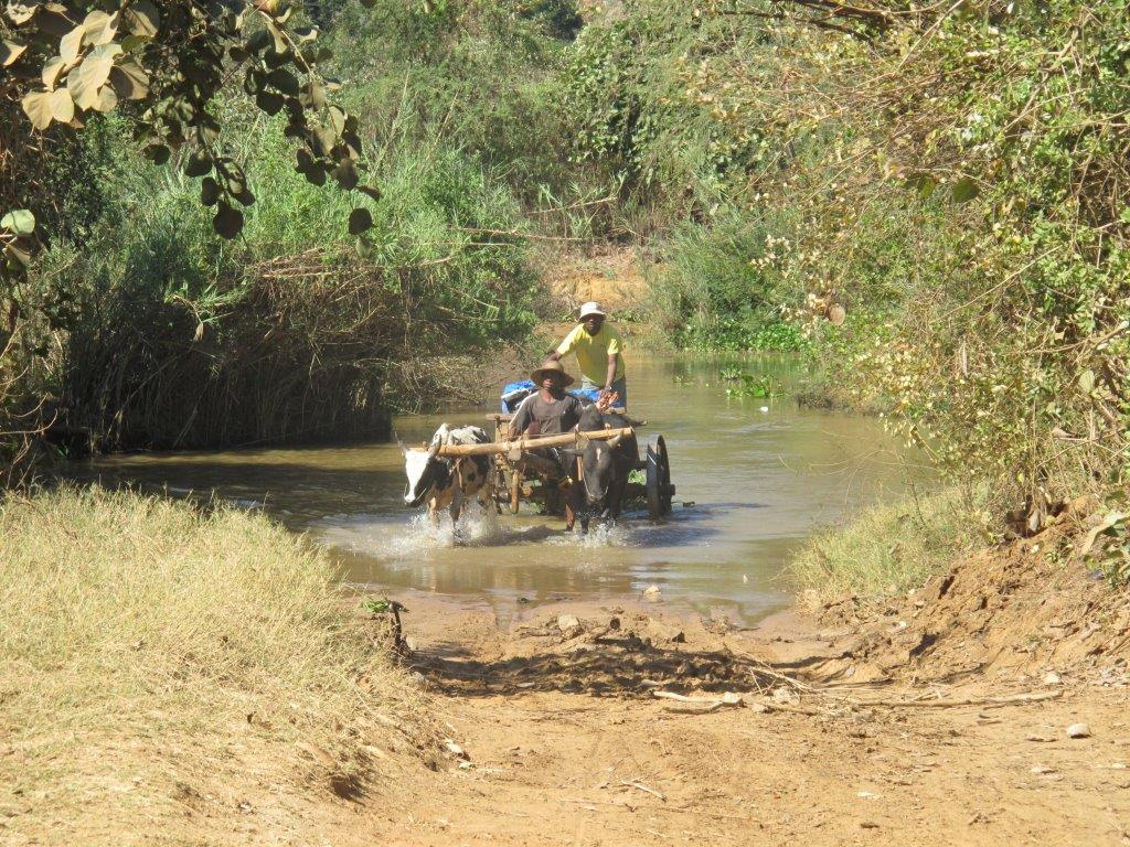Malagasy 4wd